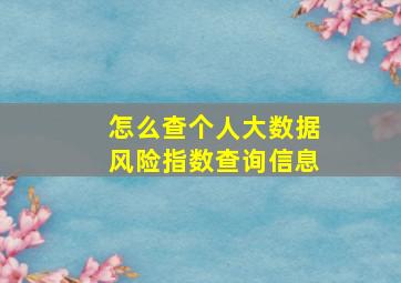 怎么查个人大数据风险指数查询信息