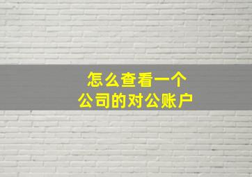 怎么查看一个公司的对公账户