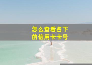 怎么查看名下的信用卡卡号