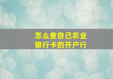 怎么查自己农业银行卡的开户行