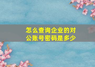 怎么查询企业的对公账号密码是多少