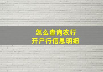 怎么查询农行开户行信息明细