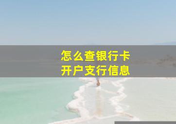 怎么查银行卡开户支行信息