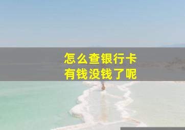 怎么查银行卡有钱没钱了呢