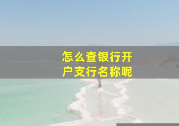 怎么查银行开户支行名称呢