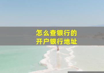 怎么查银行的开户银行地址