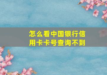 怎么看中国银行信用卡卡号查询不到