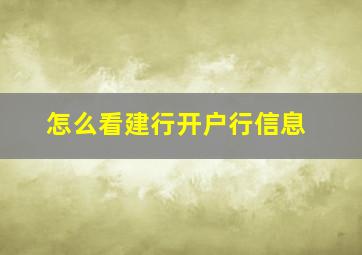 怎么看建行开户行信息