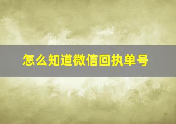 怎么知道微信回执单号