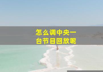 怎么调中央一台节目回放呢