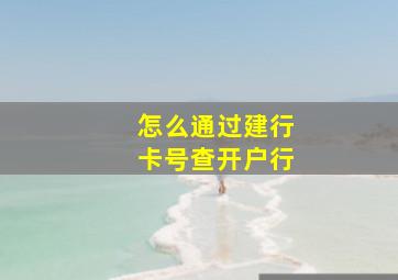 怎么通过建行卡号查开户行