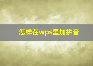 怎样在wps里加拼音