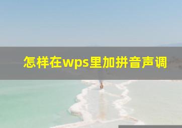 怎样在wps里加拼音声调