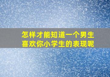 怎样才能知道一个男生喜欢你小学生的表现呢