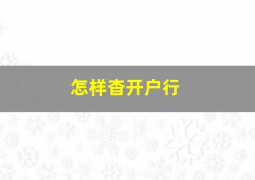 怎样杳开户行