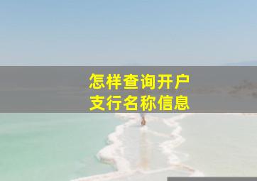 怎样查询开户支行名称信息