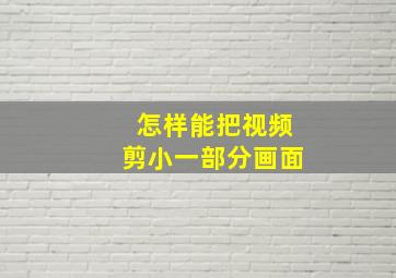 怎样能把视频剪小一部分画面