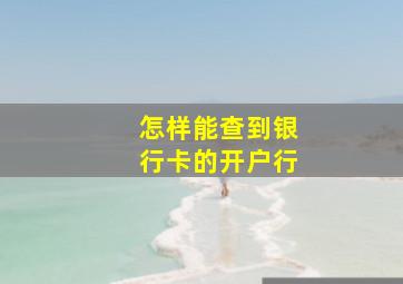 怎样能查到银行卡的开户行