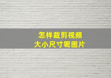 怎样裁剪视频大小尺寸呢图片