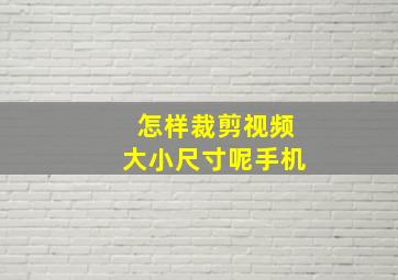 怎样裁剪视频大小尺寸呢手机