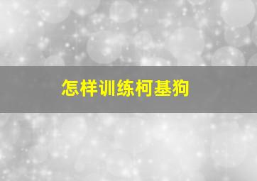 怎样训练柯基狗