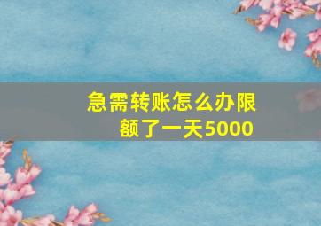 急需转账怎么办限额了一天5000