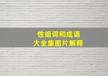 性组词和成语大全集图片解释