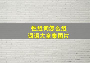 性组词怎么组词语大全集图片