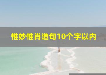 惟妙惟肖造句10个字以内