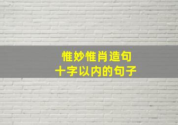 惟妙惟肖造句十字以内的句子