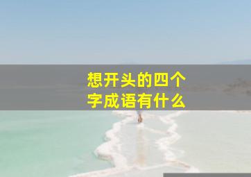 想开头的四个字成语有什么