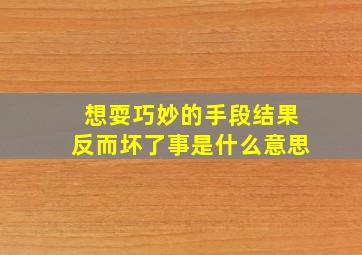 想耍巧妙的手段结果反而坏了事是什么意思