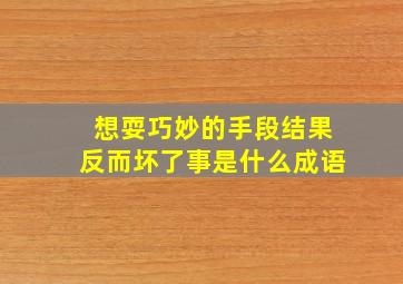 想耍巧妙的手段结果反而坏了事是什么成语