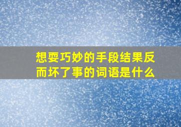 想耍巧妙的手段结果反而坏了事的词语是什么