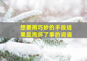 想要用巧妙的手段结果反而坏了事的词语