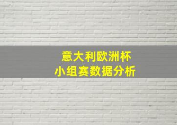 意大利欧洲杯小组赛数据分析