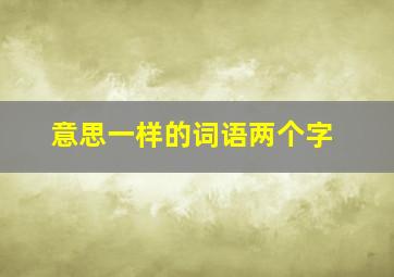 意思一样的词语两个字