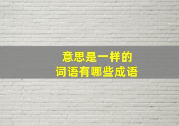 意思是一样的词语有哪些成语