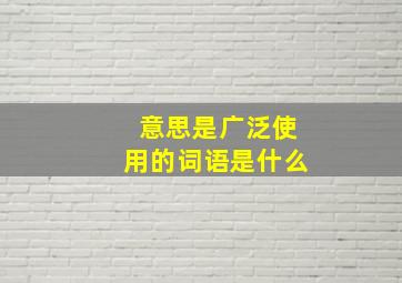 意思是广泛使用的词语是什么