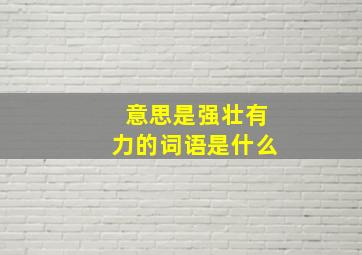 意思是强壮有力的词语是什么