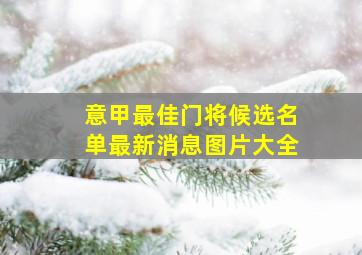 意甲最佳门将候选名单最新消息图片大全