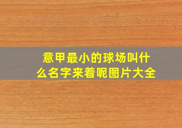 意甲最小的球场叫什么名字来着呢图片大全