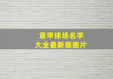 意甲球场名字大全最新版图片