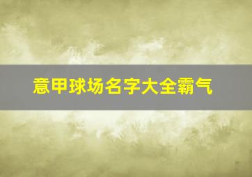 意甲球场名字大全霸气