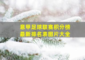 意甲足球联赛积分榜最新排名表图片大全