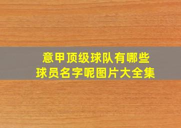 意甲顶级球队有哪些球员名字呢图片大全集