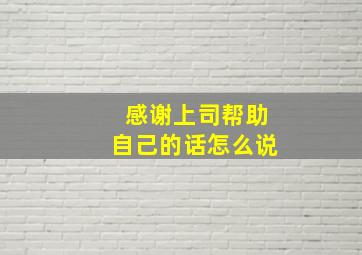 感谢上司帮助自己的话怎么说