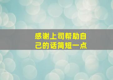 感谢上司帮助自己的话简短一点