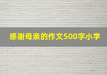 感谢母亲的作文500字小学