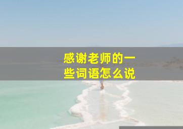 感谢老师的一些词语怎么说